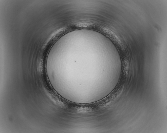 X0000112110400200908251216