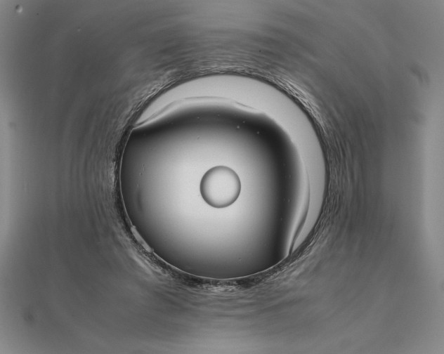 X0000112110401200908251216