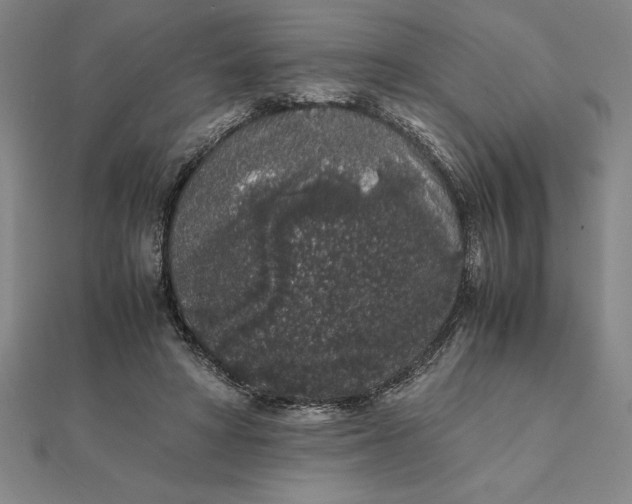 X0000112110402200908251216