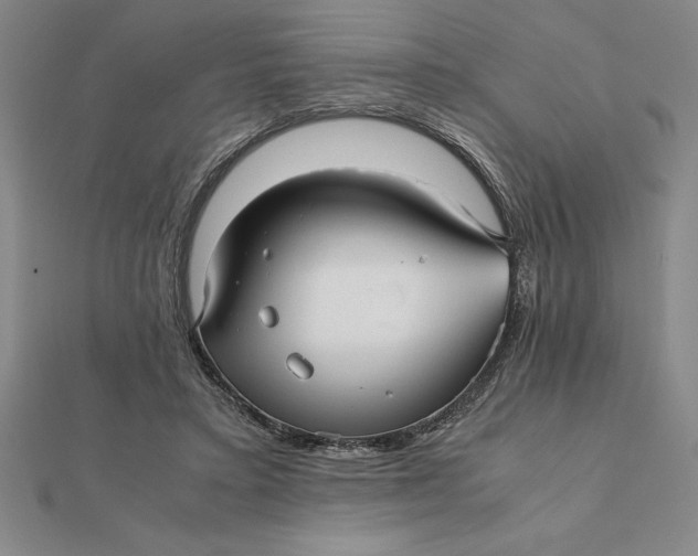 X0000112110403200908251216