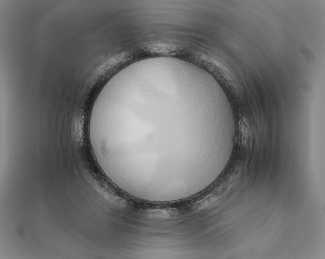 X0000112110404200908251216