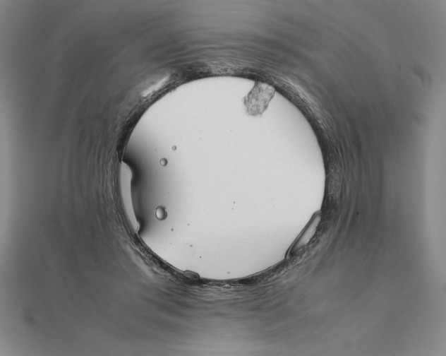 X0000112110405200908251216