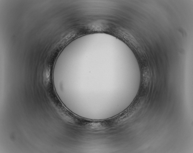 X0000112110406200908251216