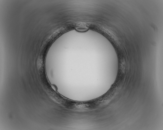 X0000112110407200908251216