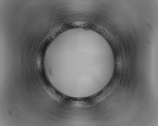 X0000112110408200908251216