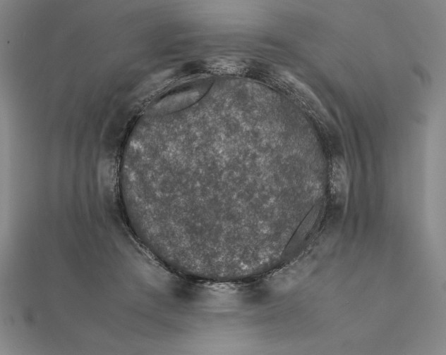 X0000112110409200908251216