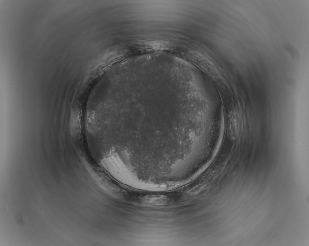 X0000112110410200908251216