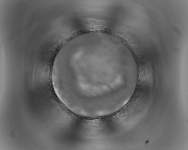 X0000112110411200908251216