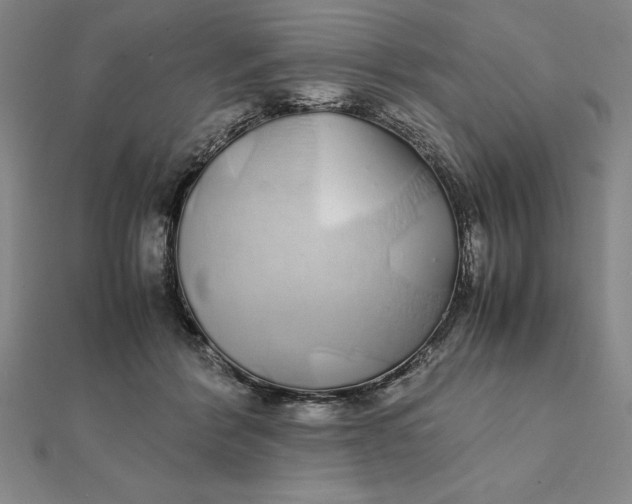 X0000112110412200908251216