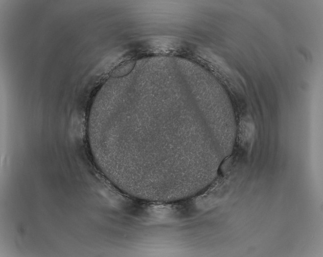 X0000112110413200908251216