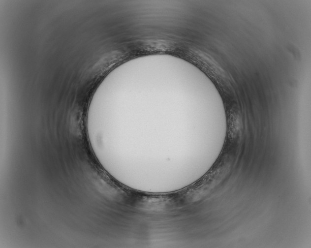 X0000112110414200908251216