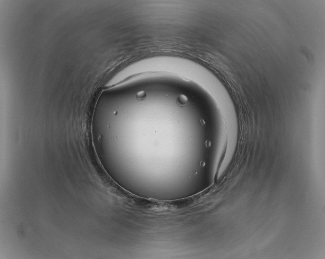 X0000112110415200908251216