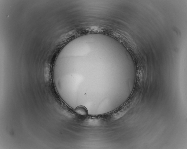 X0000112110416200908251216