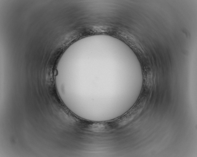 X0000112110418200908251216