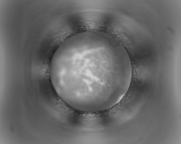 X0000112110419200908251216