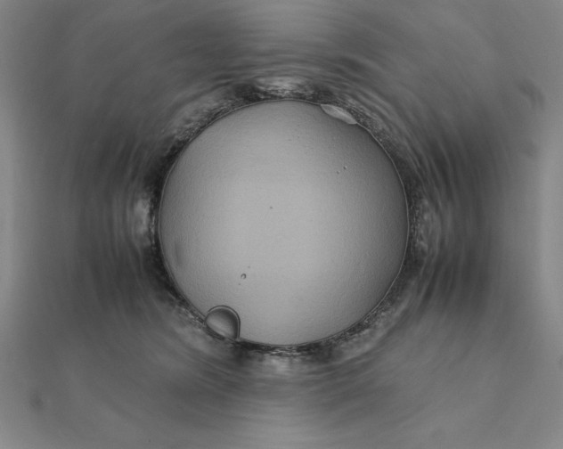 X0000112110420200908251216