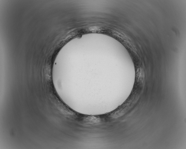 X0000112110421200908251215