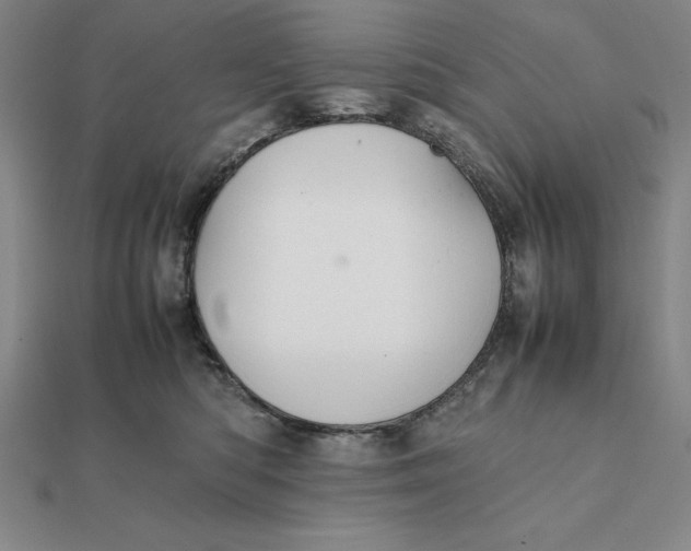 X0000112110422200908251215