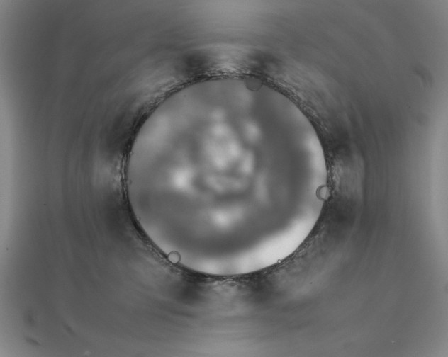 X0000112110423200908251215