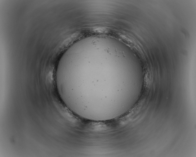 X0000112110424200908251215