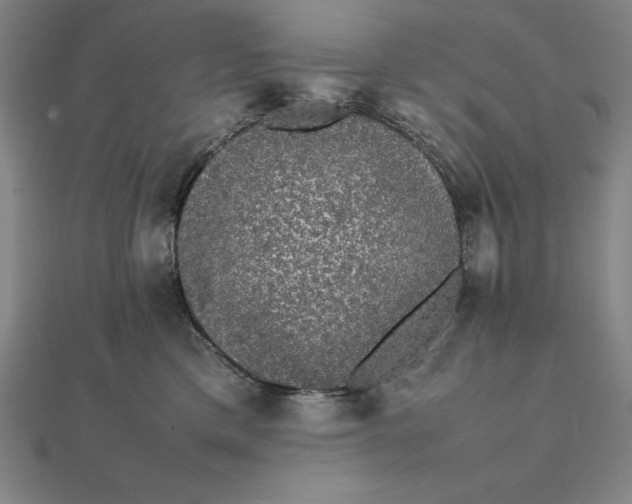 X0000112110425200908251215