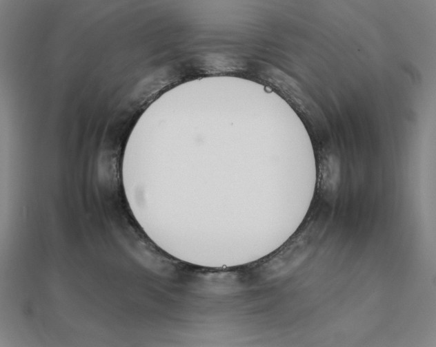 X0000112110426200908251215