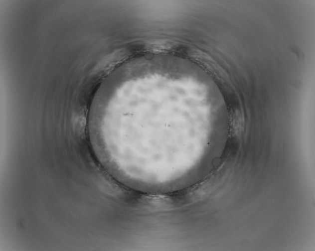 X0000112110427200908251215