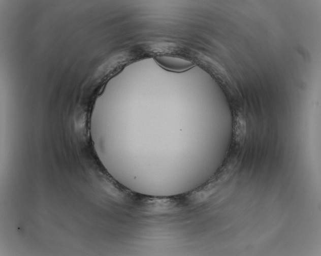 X0000112110428200908251215