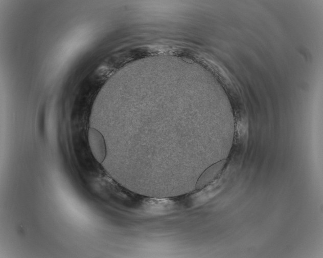 X0000112110429200908251215