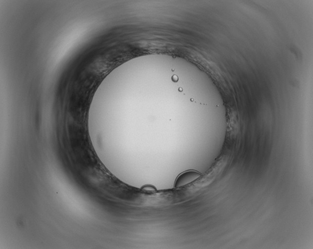 X0000112110430200908251215