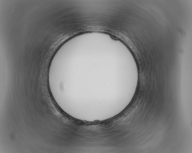 X0000112110433200908251215