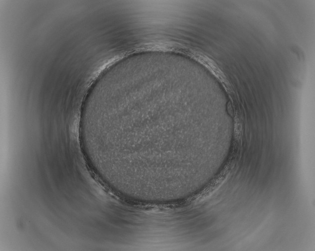 X0000112110434200908251215