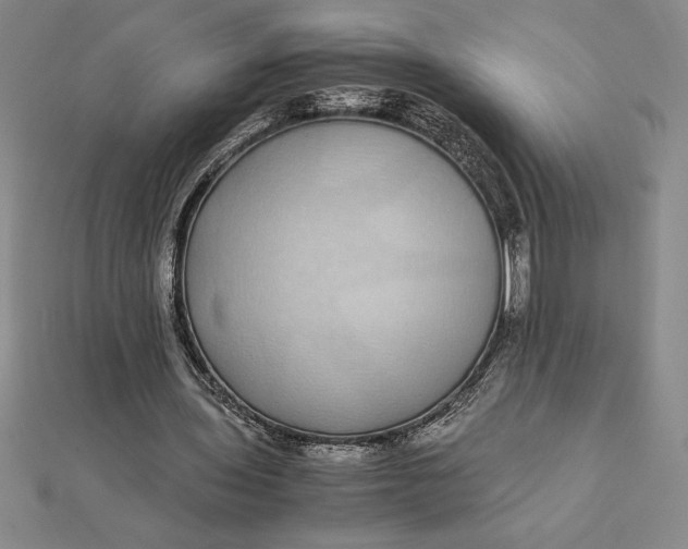 X0000112110435200908251215