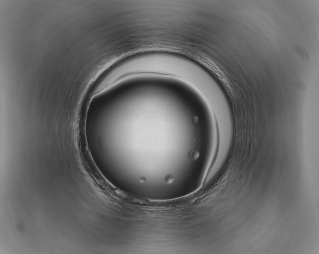 X0000112110436200908251215