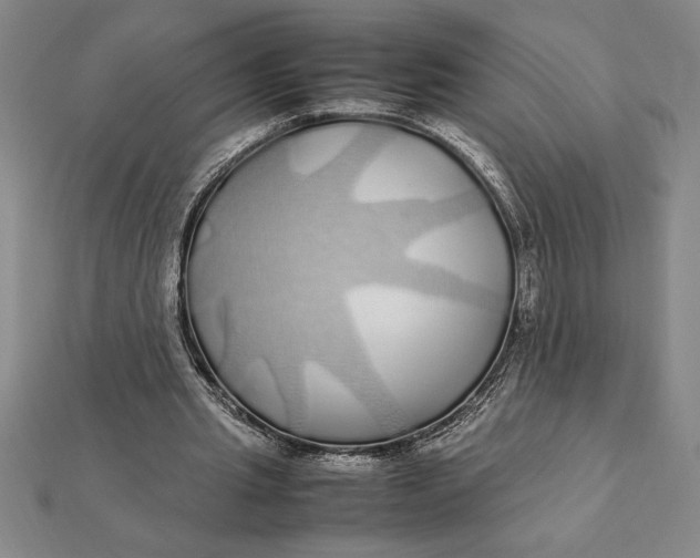 X0000112110437200908251215