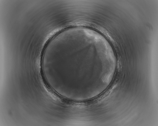 X0000112110438200908251215