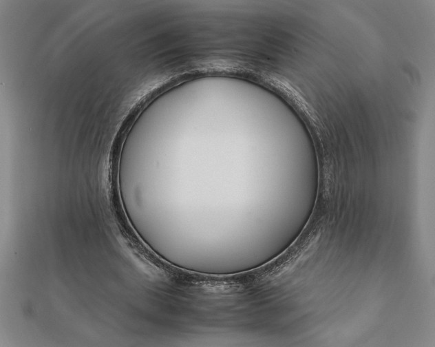 X0000112110439200908251215