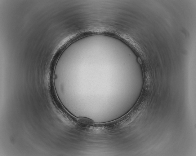 X0000112110440200908251215