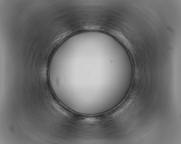 X0000112110441200908251215