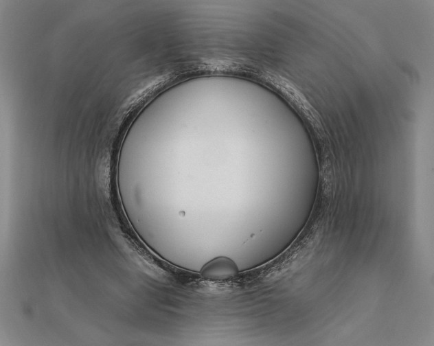 X0000112110442200908251215