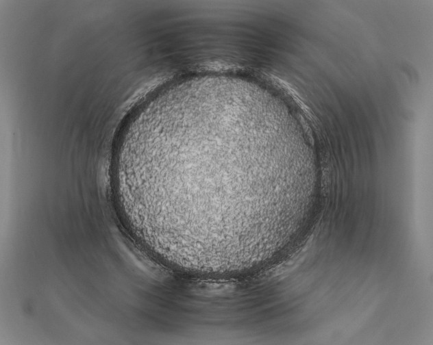 X0000112110443200908251215