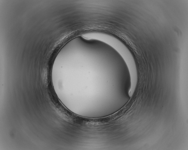 X0000112110444200908251215