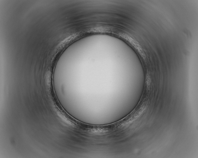 X0000112110445200908251215