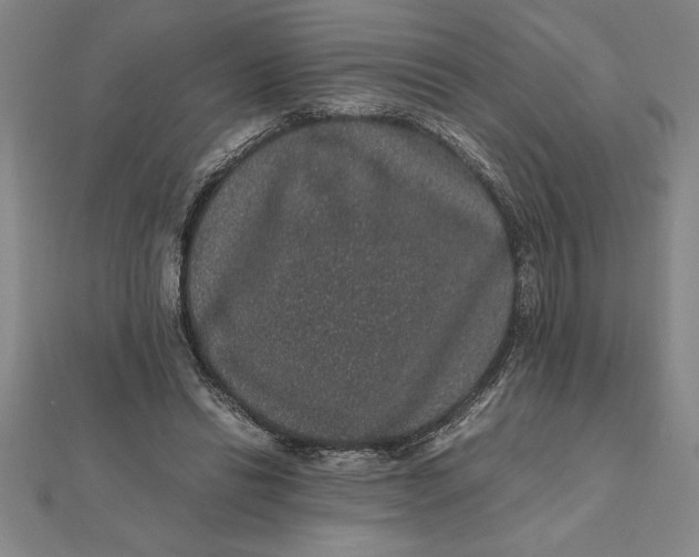 X0000112110446200908251215