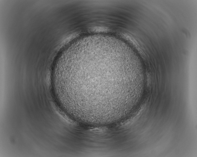 X0000112110447200908251215