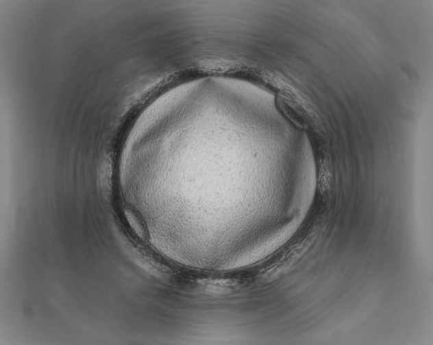 X0000112110448200908251215