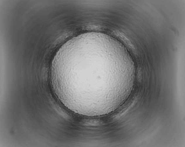 X0000112110449200908251215