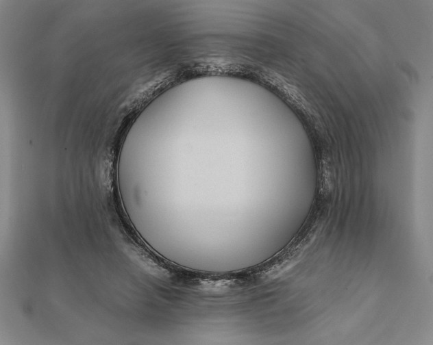 X0000112110450200908251215