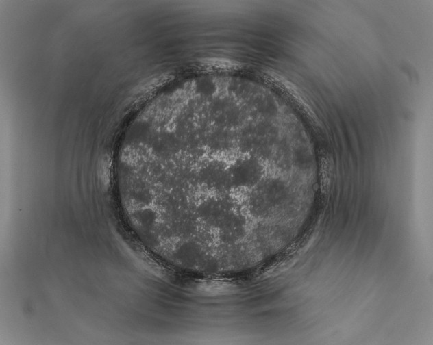 X0000112110451200908251215