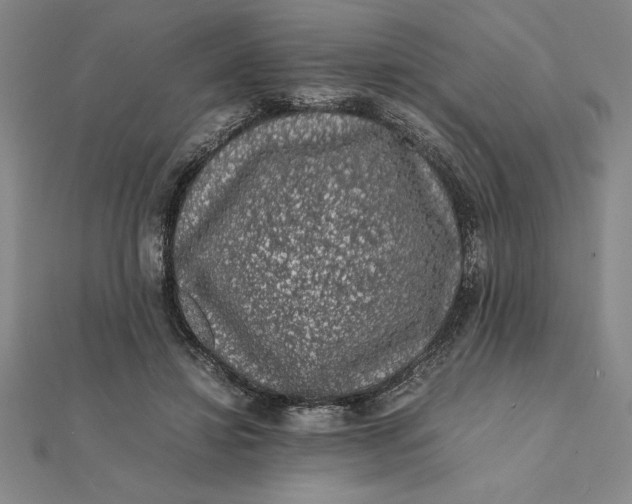 X0000112110452200908251215